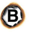 Brandhofer SFX Logo